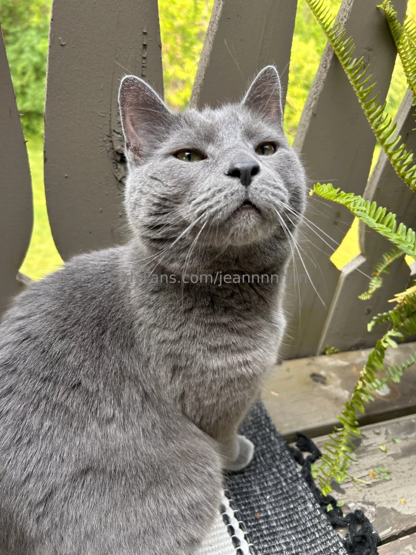 A moment of silence for my sweet boy may you rest easily cooper part 1 