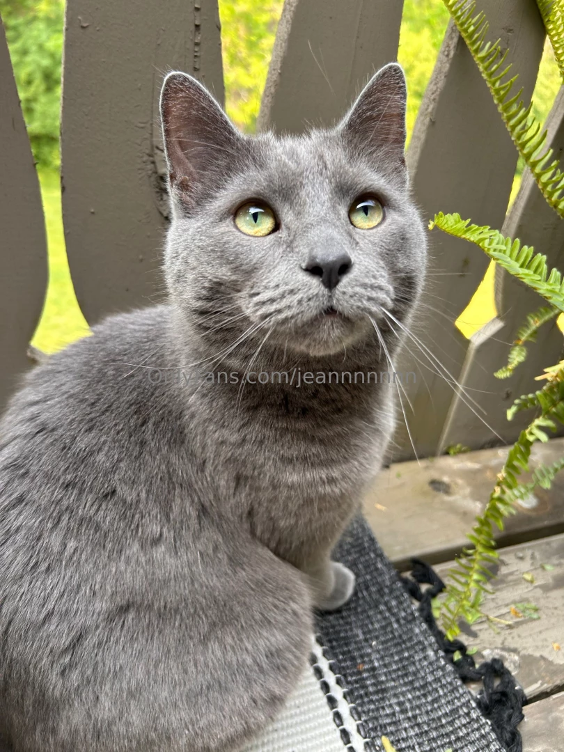 A moment of silence for my sweet boy may you rest easily cooper part 3 