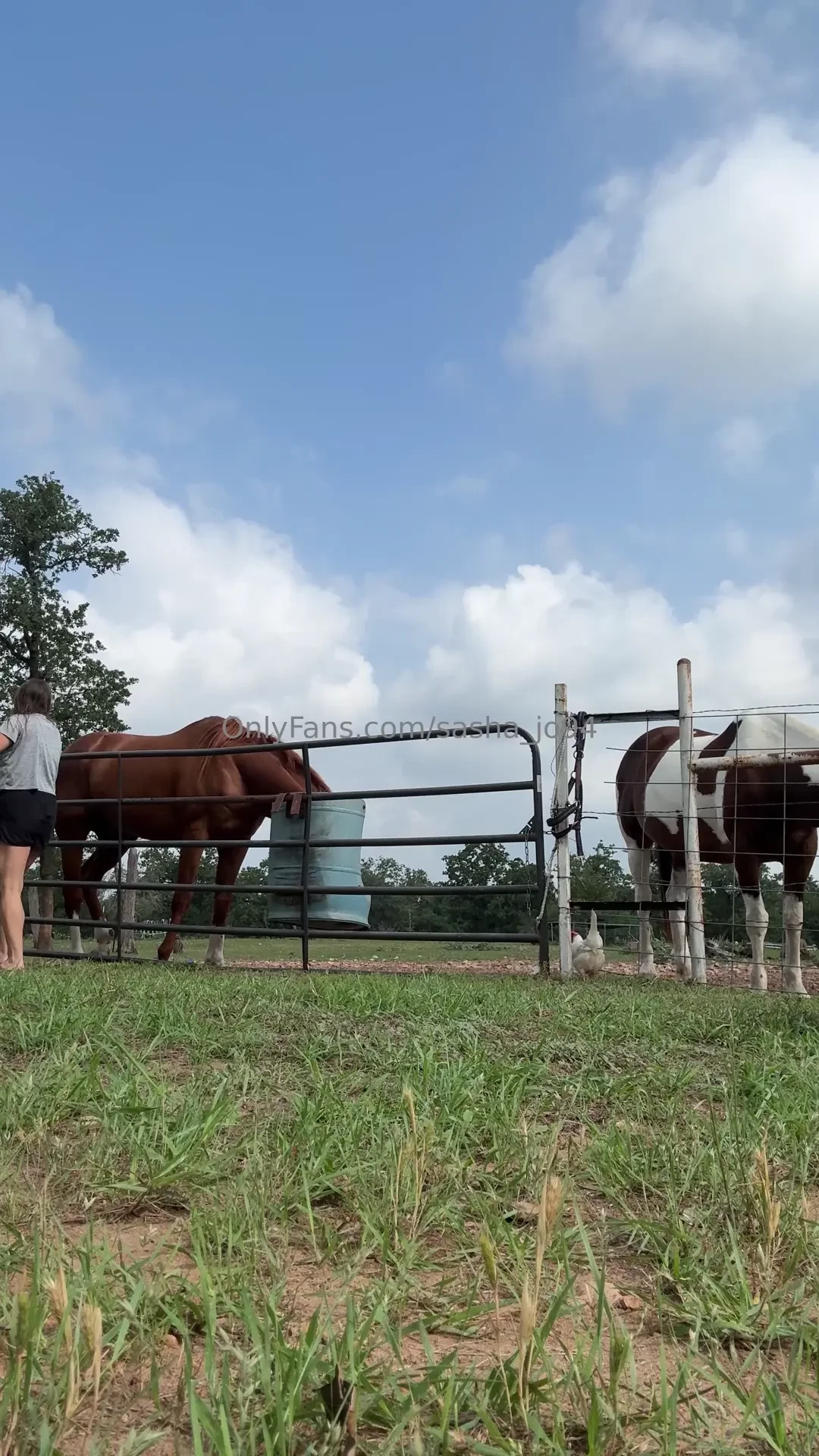 It s feeding time part 6 
