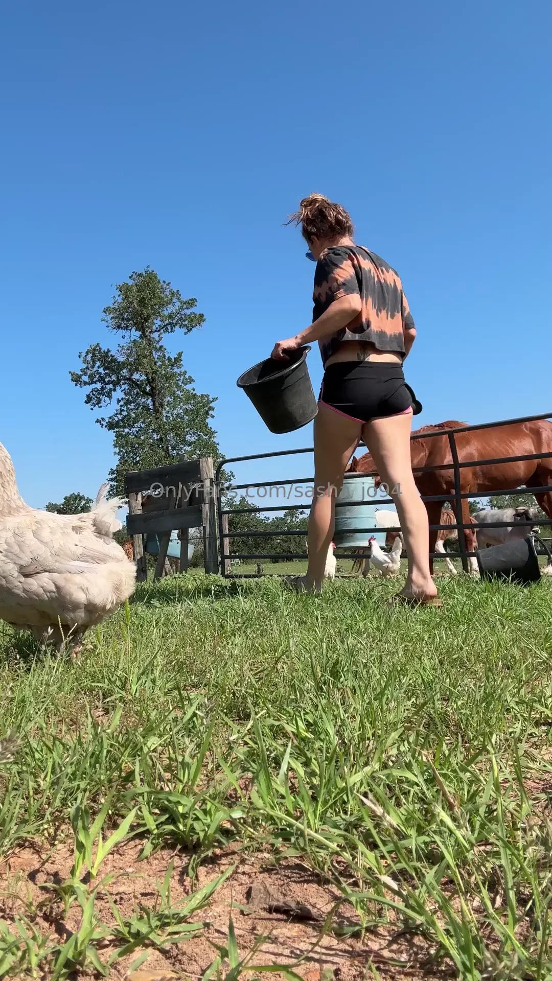 If you follow my page for the real feel enjoy this clip of me feeding 