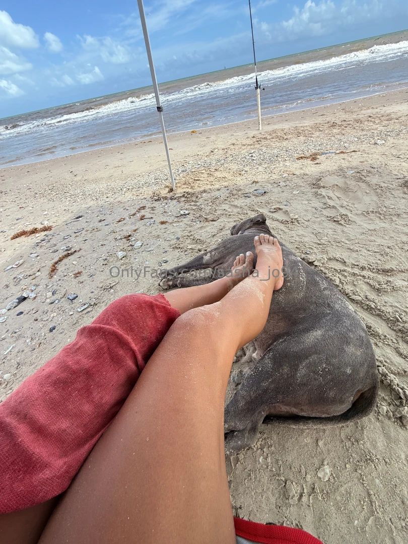 Wouldn t you love to bend me over on the beach part 1 