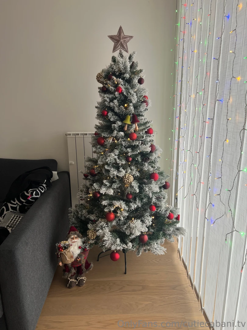 My christmas tree is up what about yours part 1 