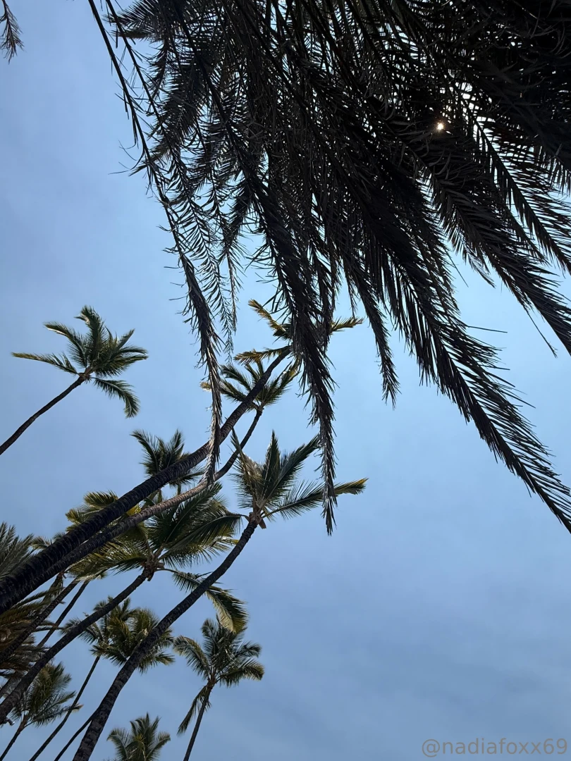 Our passion is beach cassidynicolexo part 2 