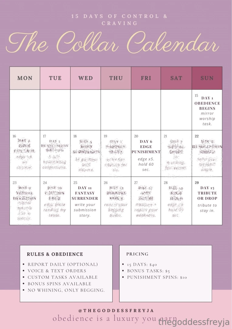 The collar calendar 15 days 15 commands no mercy this is your 