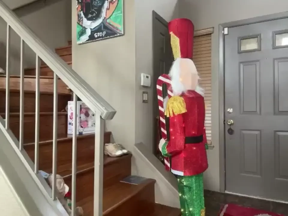 - i recently auditioned for a role in the classic christmas ballet the 