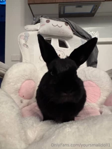 Today is a very cozy day iam painting a picture by the room feel calm part 4