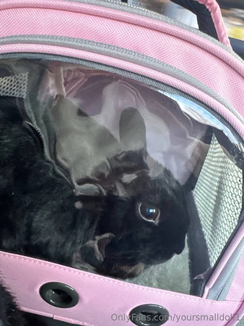 Hey everyone 3 iwould like to tell y a bit about my move how i and my part 1 