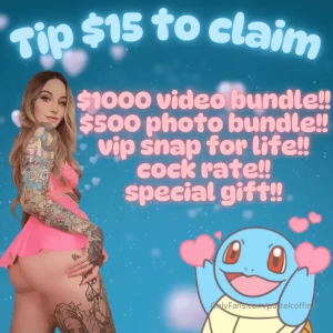 First fan to tip 15 gets nbsp 1k video bundle 500 photo bundle vip