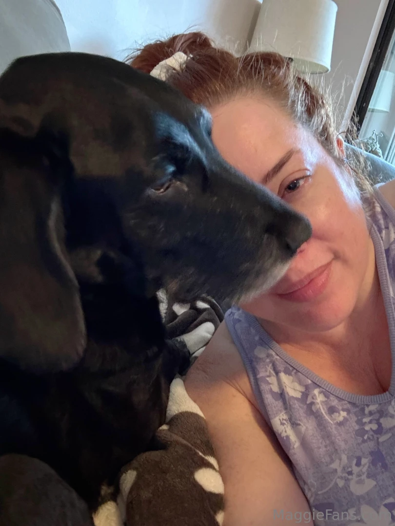 An update on ziggy some of you remember earlier this month i found out 