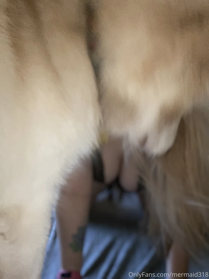Incase you wondered what it was like having a dog and a tripod i 