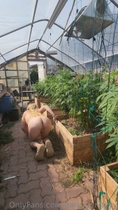 Theres a bunnyy in the greeenhouse picture bundle half and full nudity part 5