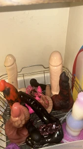 Everything is unpacked cleaned and charged which one should i fuck my