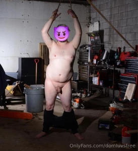 Rex is a single cub that s trying to get extra incometo help cover part 2