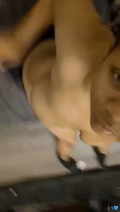 Jinxlifexpeacee part 46 