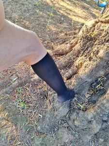 Aussiegypsy part 156