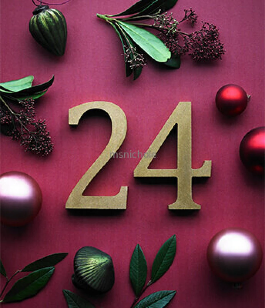 Day 24 merry christmas eve part 3 