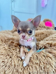 I have important news guys its my new baby girl her name is arena she part 1
