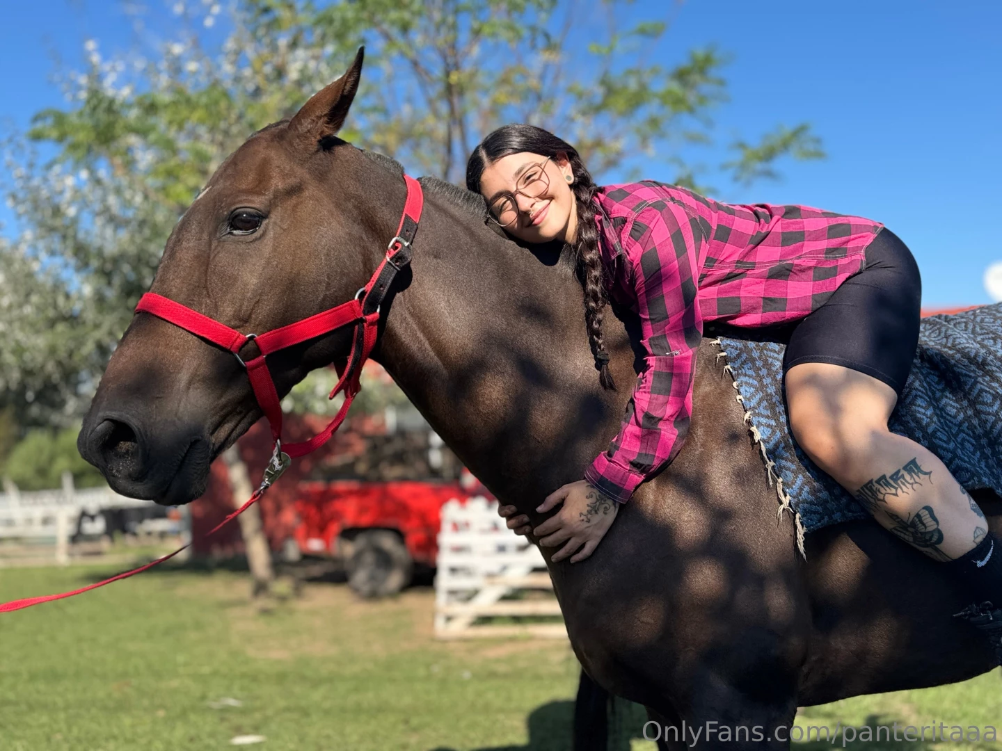 When your best friend weighs 600 kg but still remains the most gentle 