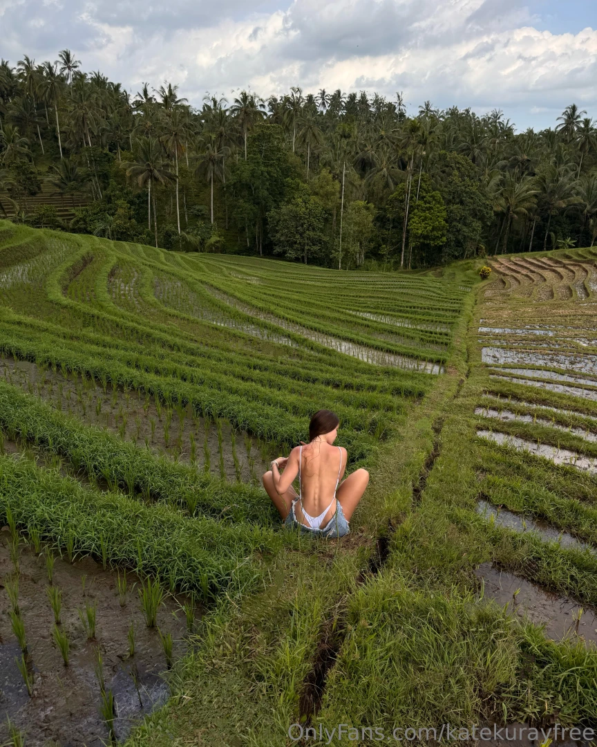 Incredible rice paddies this beauty is mesmerizing 