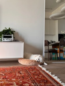 Casper lies there and thinks about what kind of chaos he can create