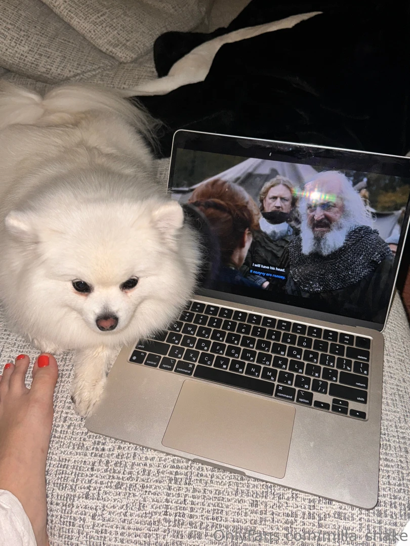 You know i just stumbled upon netflix by accident and now my life has 