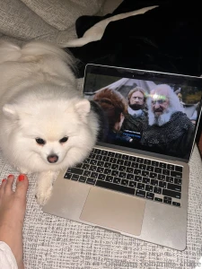 You know i just stumbled upon netflix by accident and now my life has