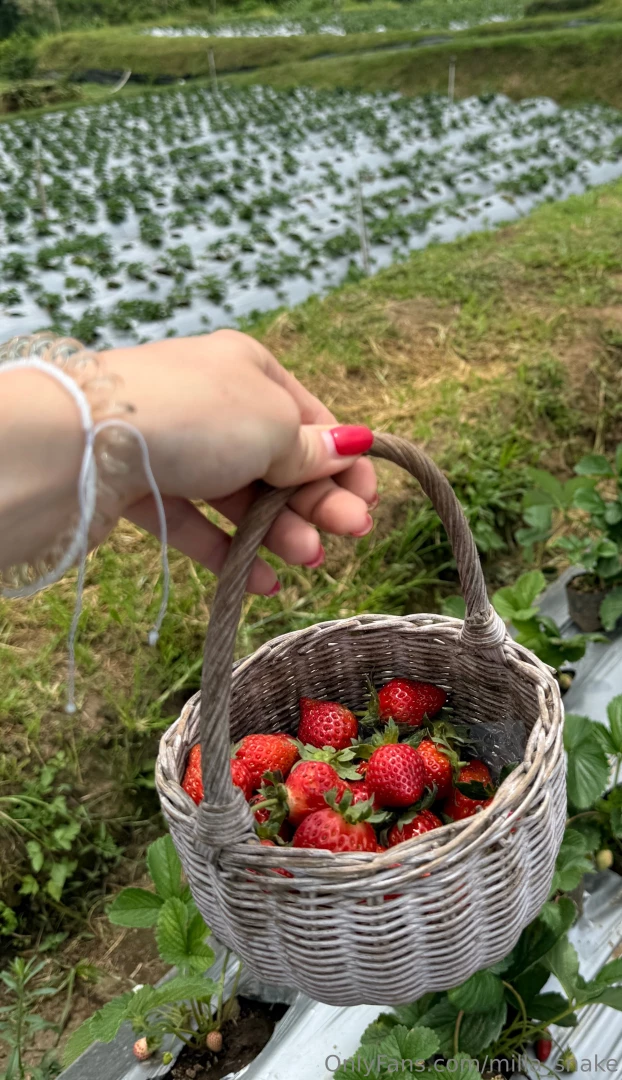 We do not deserve that nature it s too perfect for us too bueatiful 