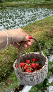 We do not deserve that nature it s too perfect for us too bueatiful