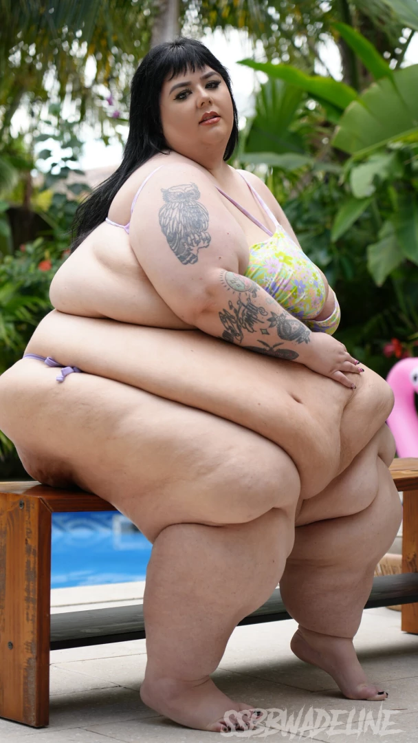 Summer body in check 