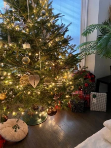 Christmas eve cooking show tomorrow 9am-1pm est planning to wear