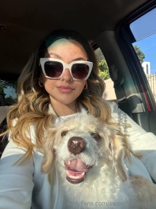 My puppy is looking for someone to impress me any volunteers slide