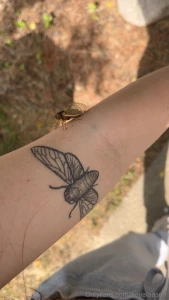 Hi all i m having a chronic pain flare up so i ll be resting for a few part 1