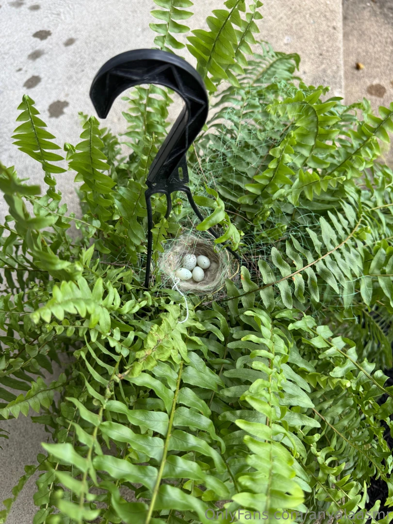 Hiiii i ve been spending so much time outside lately message me for 