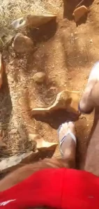 I was exploring njivice nude beach but one huge mistake was in