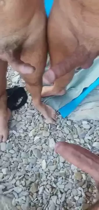 The power of dalmatia 