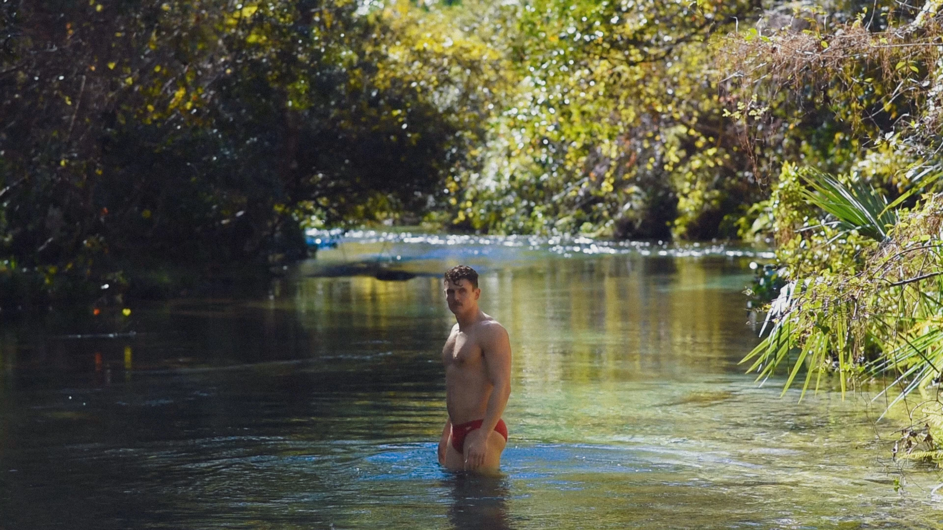 Happy wednesday part 452 