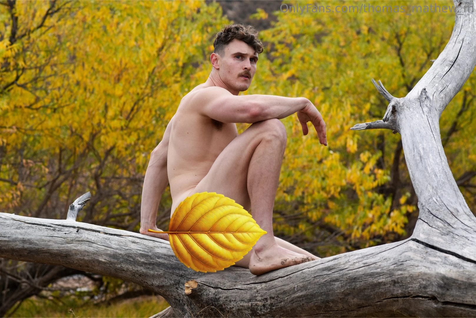 Happy autumn or should i say bautumn i did a fully nude photoshoot for part 2 