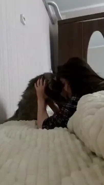 I love my cat especially when she comes to me in the morning like me 