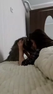 I love my cat especially when she comes to me in the morning like me