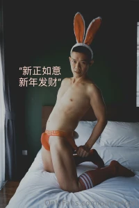 Happy merry new lunar year photo by avessriphoto attentionwear part 1