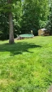 Cuck is always busy doing tasks for his mistress pool will be ready