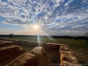 I bought a kabocha squash at the pumpkin farm we visited on thursday part 5