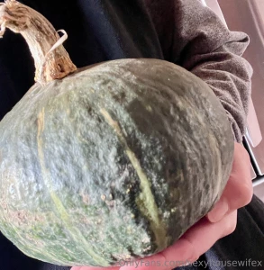 I bought a kabocha squash at the pumpkin farm we visited on thursday part 2