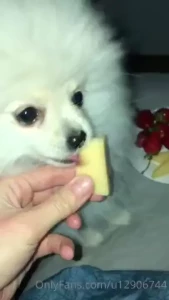 Dinner served part 6