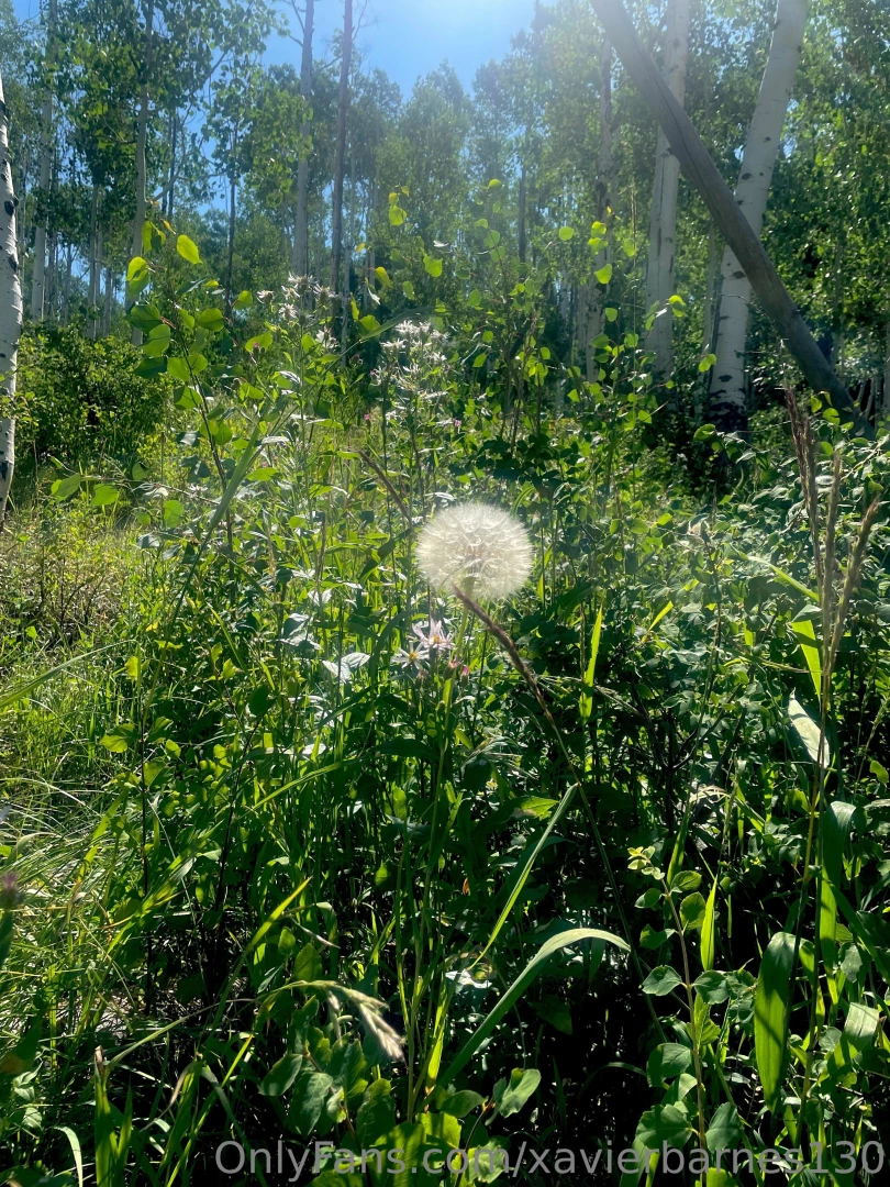 Willow lake trail part 2 