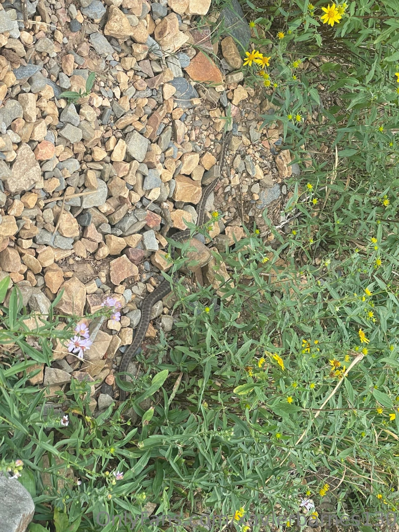Lake blanche trail one of my favorites 