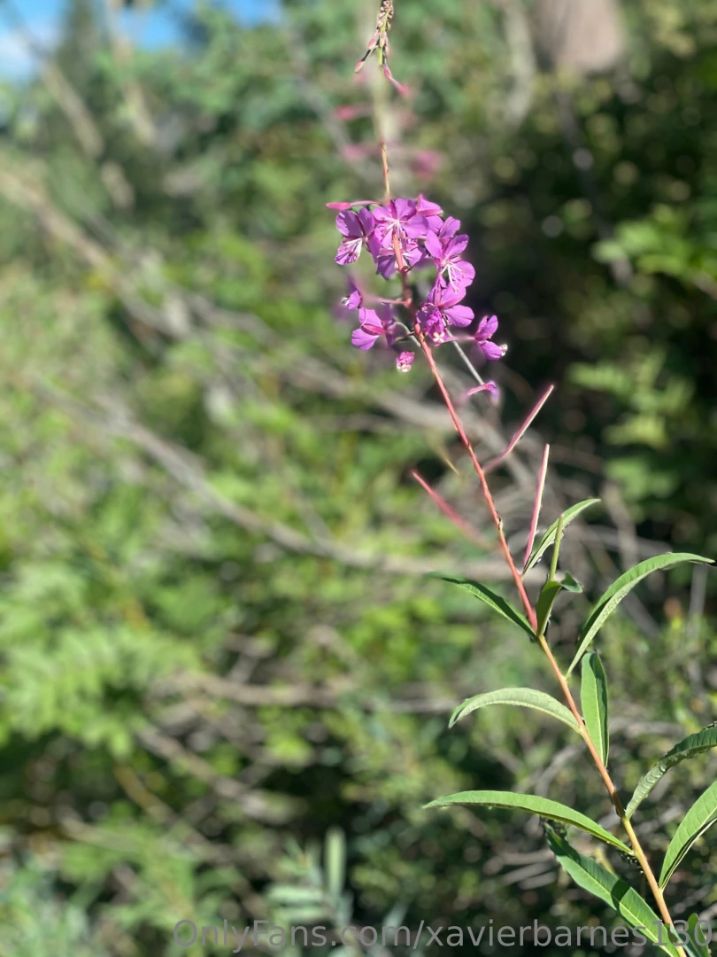 Lake blanche trail one of my favorites part 5 