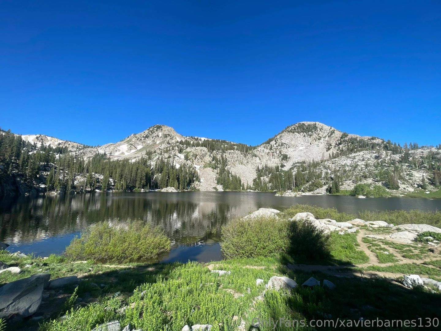 Xavierbarnes130 part 8 