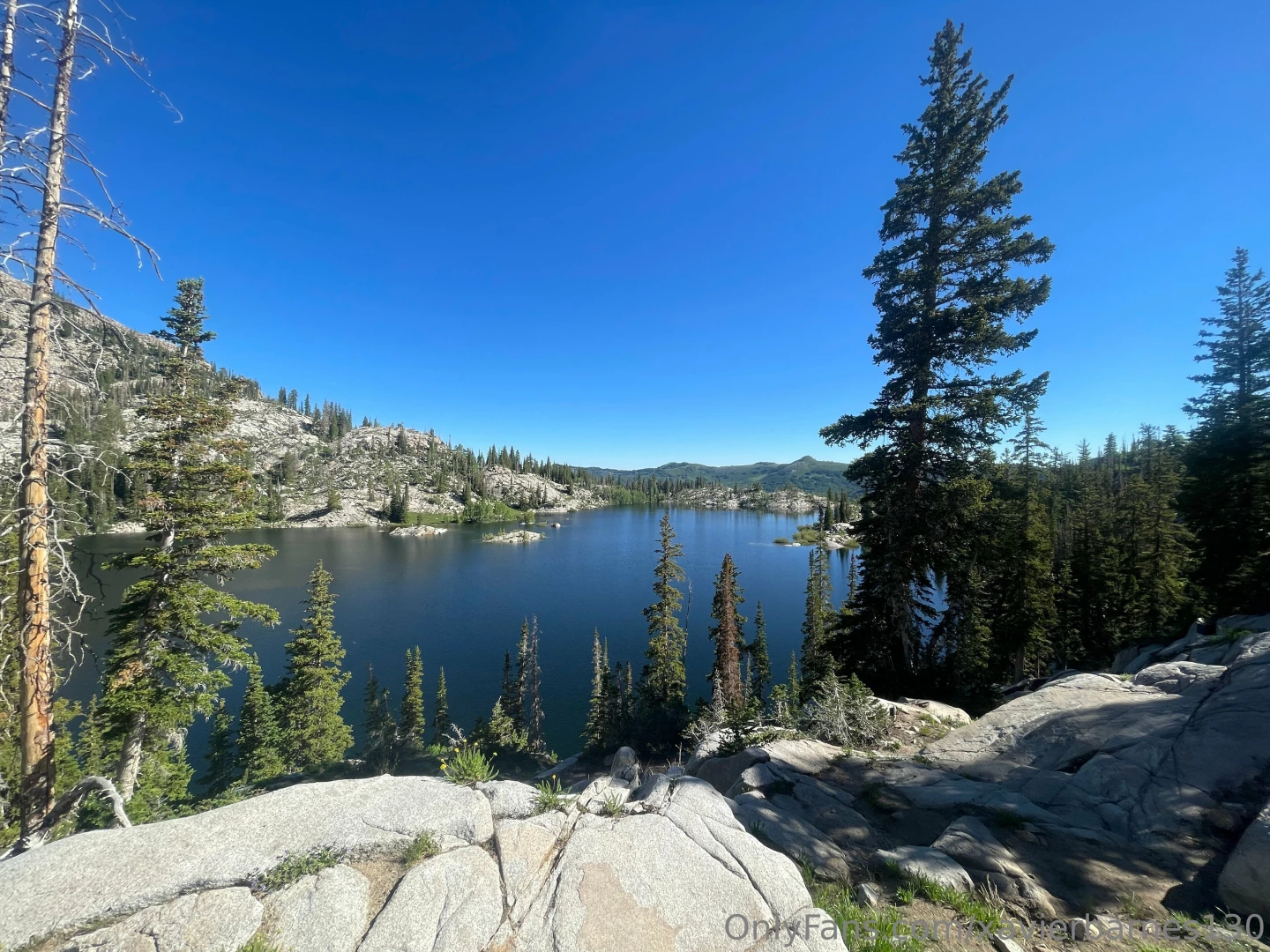 Xavierbarnes130 part 9 