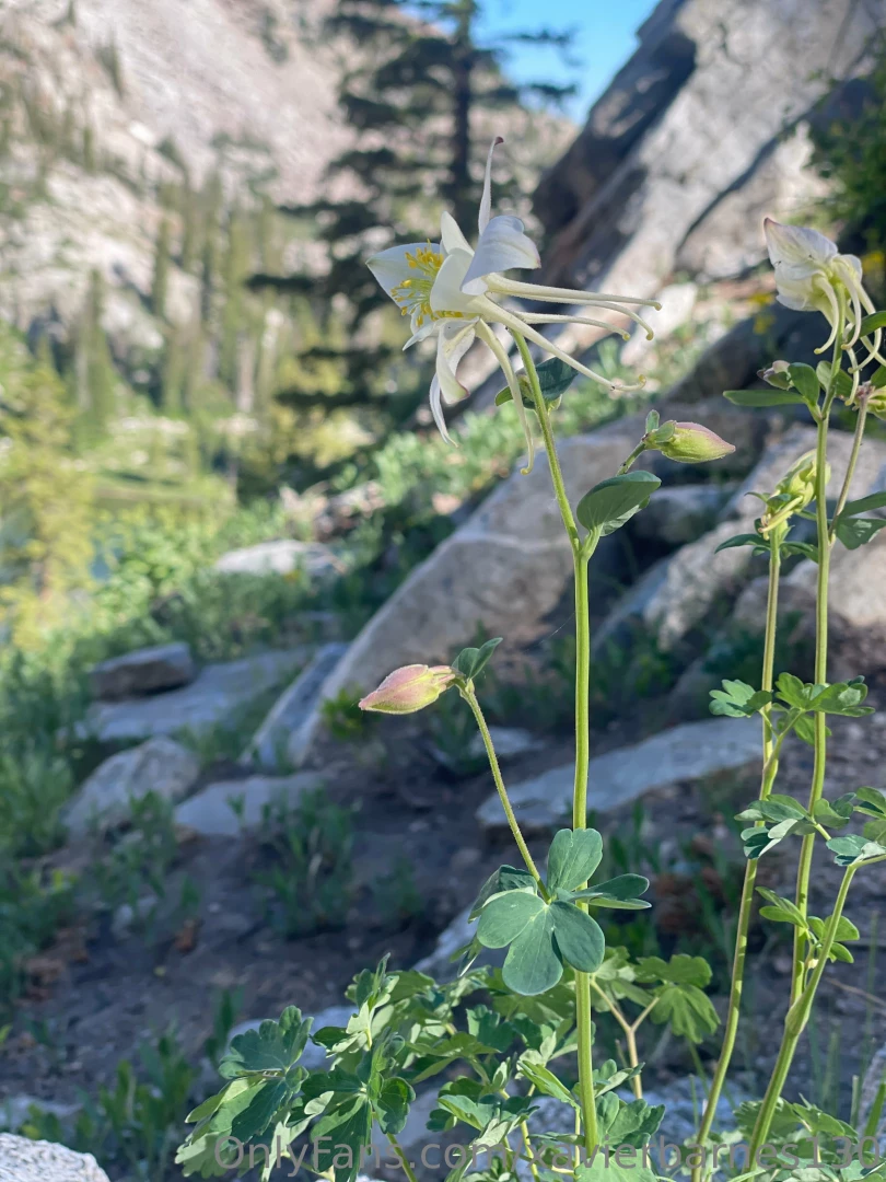 Lake mary and lake catherine hike part 3 